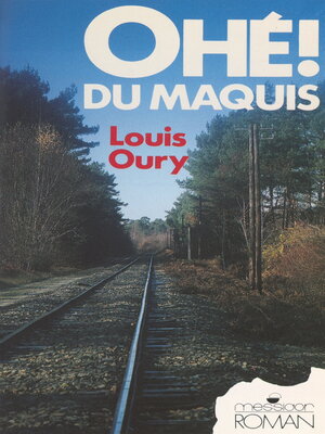 cover image of Les années noires (3)